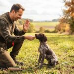 Av Köpeği Eğitimi Ne Zaman Başlamalı ve Temel İtaat Nasıl Verilmeli?