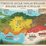 Türkiye’de Avcılık Yapılan Bölgeler: Bölgesel Dağılım ve İpuçları