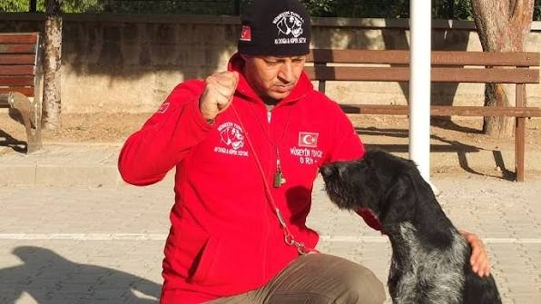 Av Köpeği Eğitimi