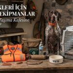 Av Köpekleri İçin Gerekli Ekipmanlar: Tasmasından Taşıma Kafesine Neler Gerekli?